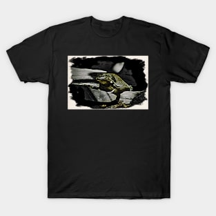 frog / Maléa is looking for the goblin - children's book WolfArt T-Shirt